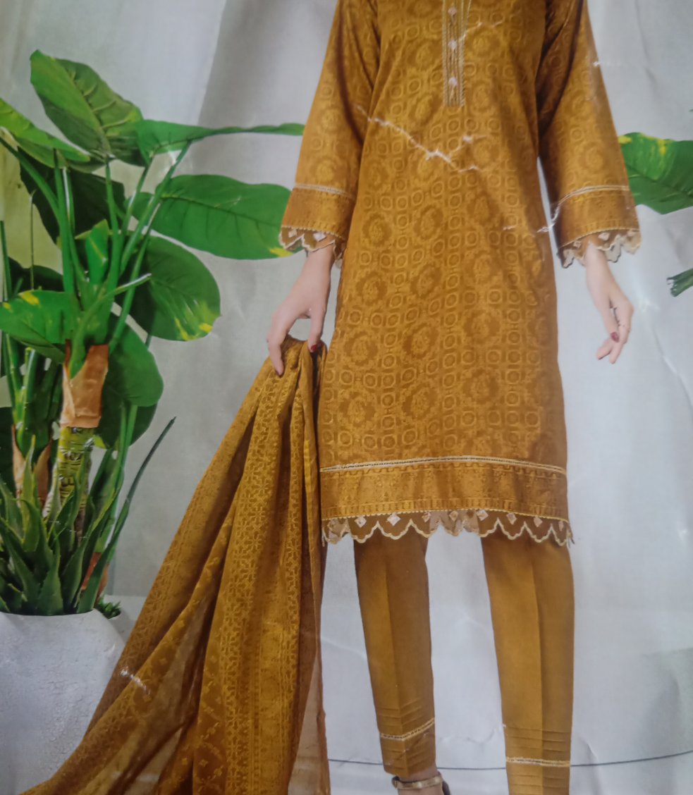 Pakistani banarasi designer dress